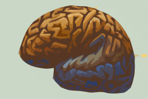 11-14-brain