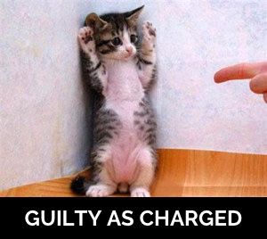 guilty-kitty